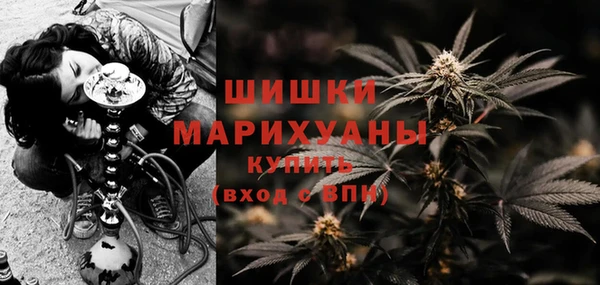 хмурый Нефтекумск