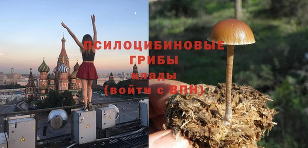 хмурый Нефтекумск
