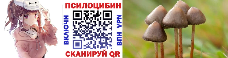 Галлюциногенные грибы GOLDEN TEACHER  закладки  Щёлково 