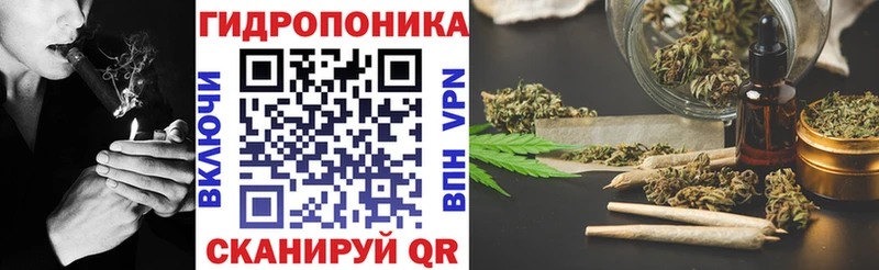 сколько стоит  MEGA tor  Бошки марихуана White Widow  Щёлково 